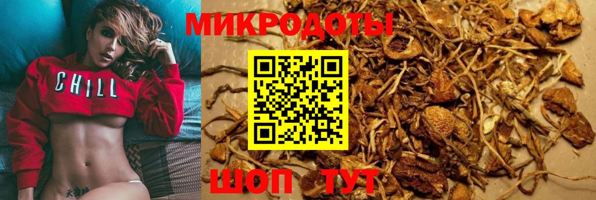 Галлюциногенные грибы Psilocybe Челябинск